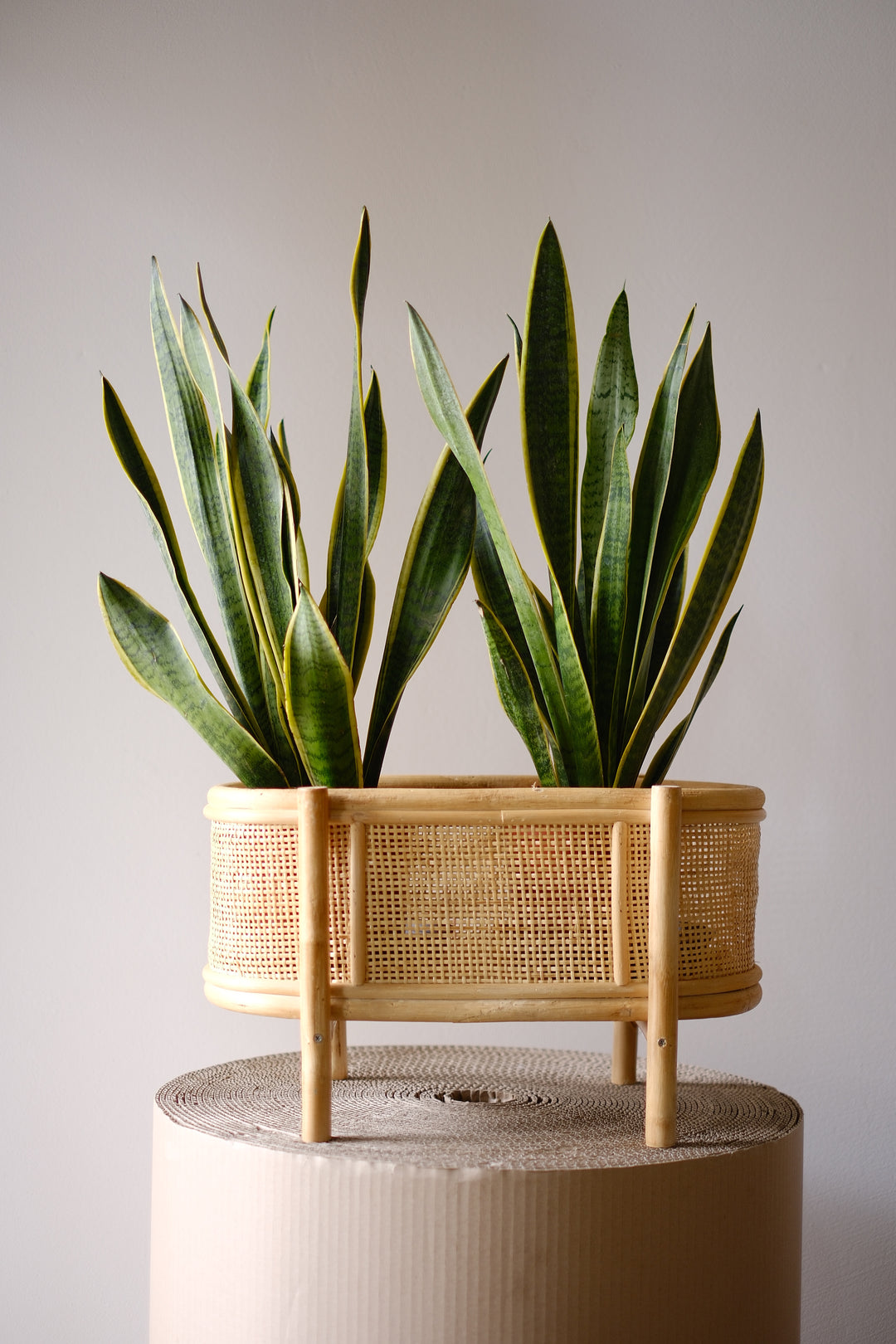 Bamboo stand Ø20 cm - Stylish plant stand 