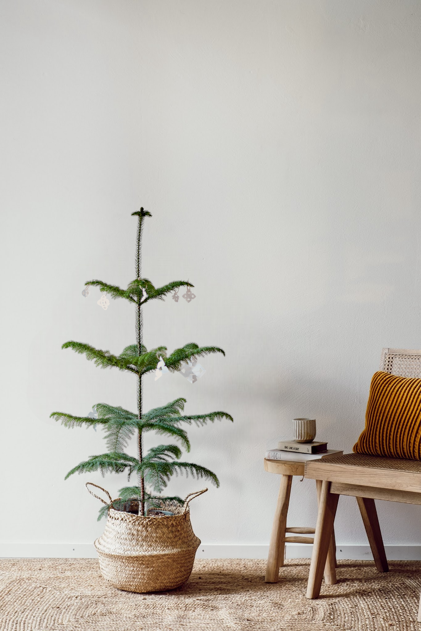 Ein minimalistisches Interieur präsentiert eine Zimmertanne – langlebige Zimmerpflanze von Viva tu Casa, elegant platziert in einem geflochtenen Korb auf einem Teppich. Eine Holzbank mit einem gelben Kissen und Büchern sorgt für Wärme und schafft eine einladende und natürliche Atmosphäre vor der weißen Wand, wodurch Natur und Stil nahtlos miteinander verbunden werden.