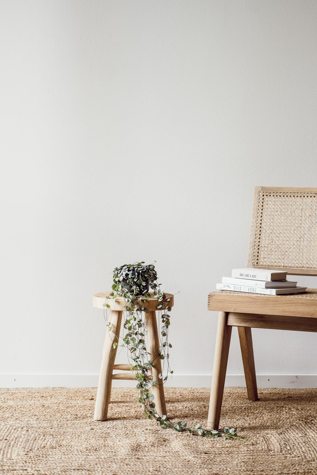 In einem minimalistischen Interieur finden Sie einen Holzhocker, der mit einer herabhängenden Zimmerpflanze wie der Viva tu Casa Ceropegia Woodii Hängepflanze (Leuchterblume) geschmückt ist, und einen pflegeleichten geflochtenen Stuhl mit gestapelten Büchern auf der Sitzfläche. Darunter liegt ein beigefarbener gewebter Teppich vor einer schlichten, neutral gefärbten Wand.