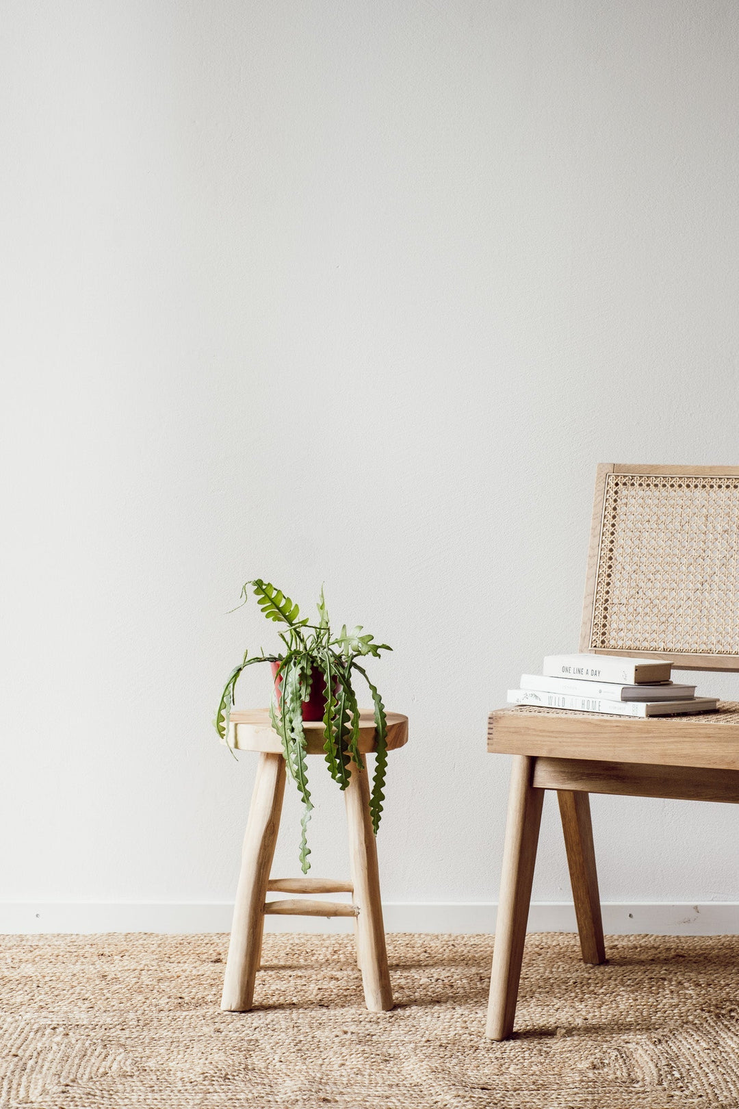 In einem minimalistischen Raum hält ein Holzhocker den Sägeblatt-Kaktus (Epiphyllum anguliger) von Viva tu Casa und bringt so einen Hauch von Grün ins Zimmer. Ein geflochtener Stuhl ist teilweise neben einer Holzoberfläche mit gestapelten Büchern sichtbar, die Pflegetipps für Pflanzen enthalten. Die Szene entfaltet sich vor einer schlichten weißen Wand und ist mit einem strukturierten Naturfaserteppich ausgestattet.